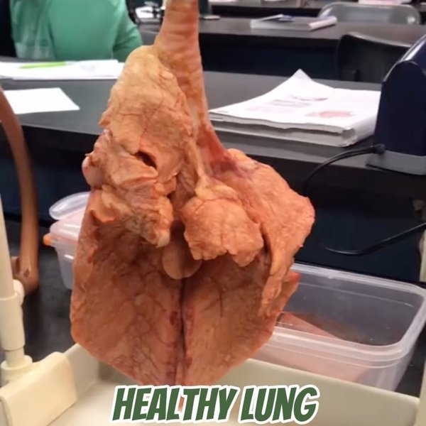 Thumbnail of p-czy48buro9w-124e6108e01e4c2e 2