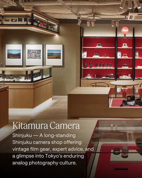 Thumbnail of p-dpgg7kveg3m-126301d9fdd34aca 10