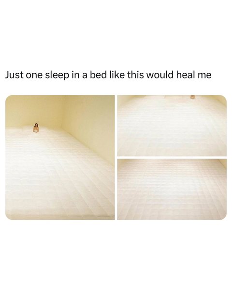 Thumbnail of p-c8z6qt6acty-12674f9be47c45c9 0