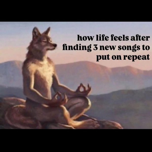 Thumbnail of c-3hbvfyk9z-126e6b923c6d48c8 13