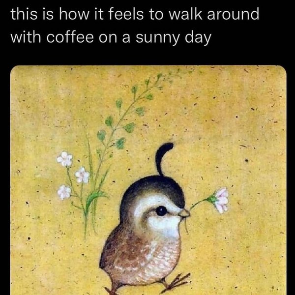 Thumbnail of c-3hbvfyk9z-126e6b923c6d48c8 17