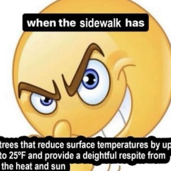 Thumbnail of c-3hbvfyk9z-126e6b923c6d48c8 4