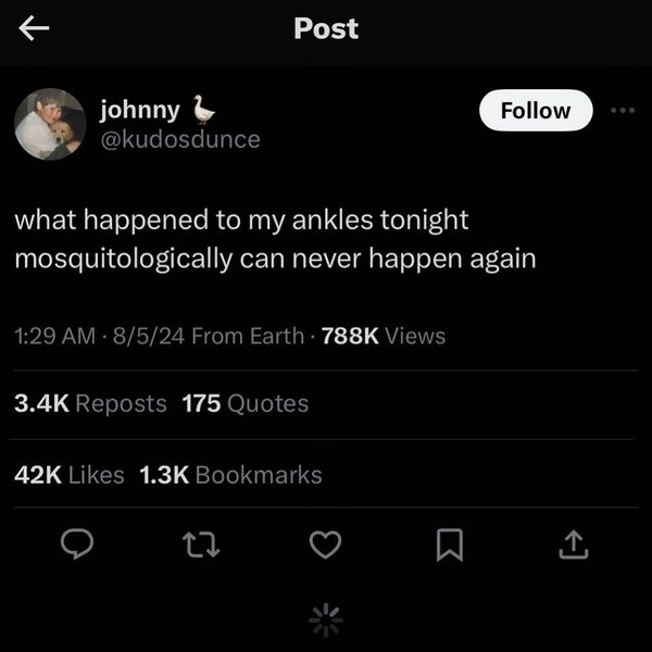 Thumbnail of c-3hbvfyk9z-126e6b923c6d48c8 8