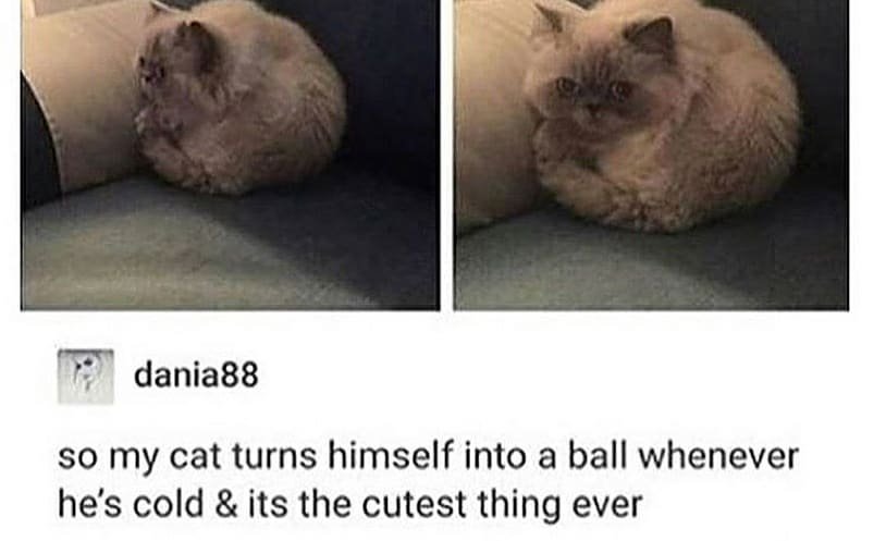 Thumbnail of b48f6-warbh-127174bec2d24112 9