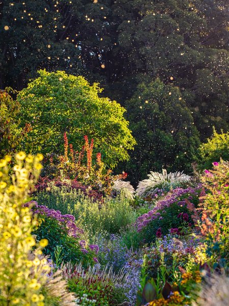 Thumbnail of www-instagram-com-p-drted3sk-pd-img-index-12 0