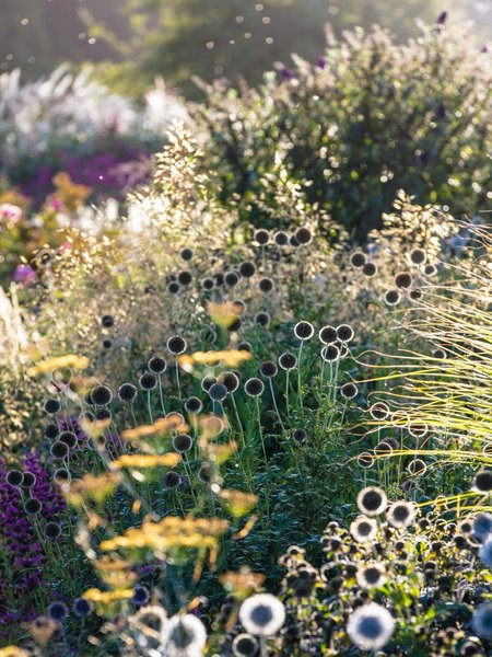 Thumbnail of www-instagram-com-p-drted3sk-pd-img-index-12 1