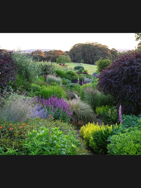 Thumbnail of www-instagram-com-p-drted3sk-pd-img-index-12 10