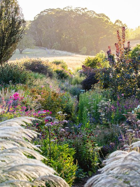 Thumbnail of www-instagram-com-p-drted3sk-pd-img-index-12 11