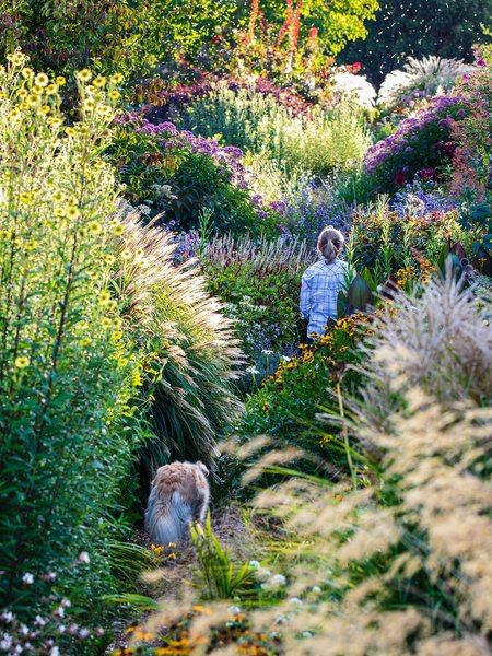 Thumbnail of www-instagram-com-p-drted3sk-pd-img-index-12 14