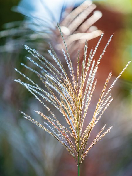 Thumbnail of www-instagram-com-p-drted3sk-pd-img-index-12 5