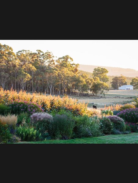 Thumbnail of www-instagram-com-p-drted3sk-pd-img-index-12 6