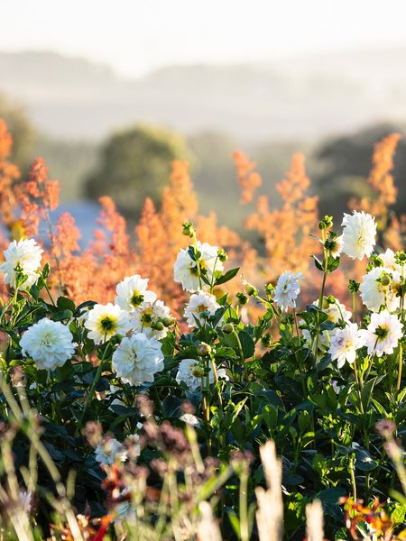 Thumbnail of www-instagram-com-p-drted3sk-pd-img-index-12 7