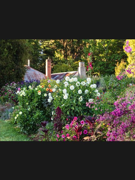 Thumbnail of www-instagram-com-p-drted3sk-pd-img-index-12 8