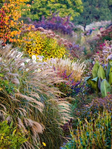 Thumbnail of www-instagram-com-p-drted3sk-pd-img-index-12 9