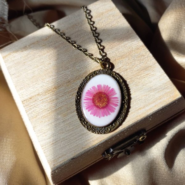 Thumbnail of p-crgphwvmlnd-12aa1d013bb94d82 0