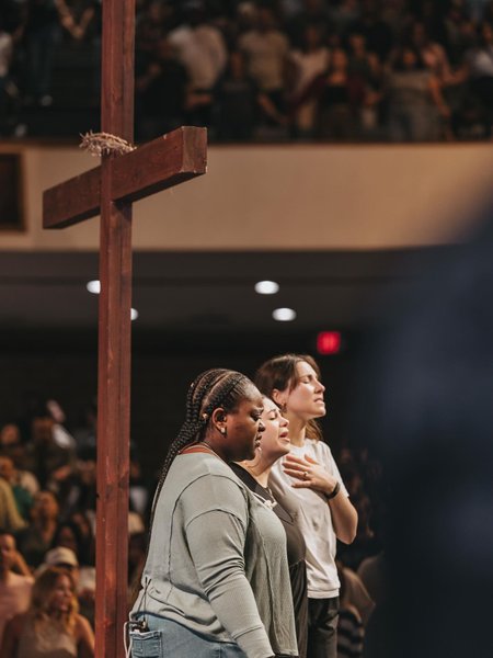 Thumbnail of p-dm3kqonsvo8-12f51f5fe9524e3f 18