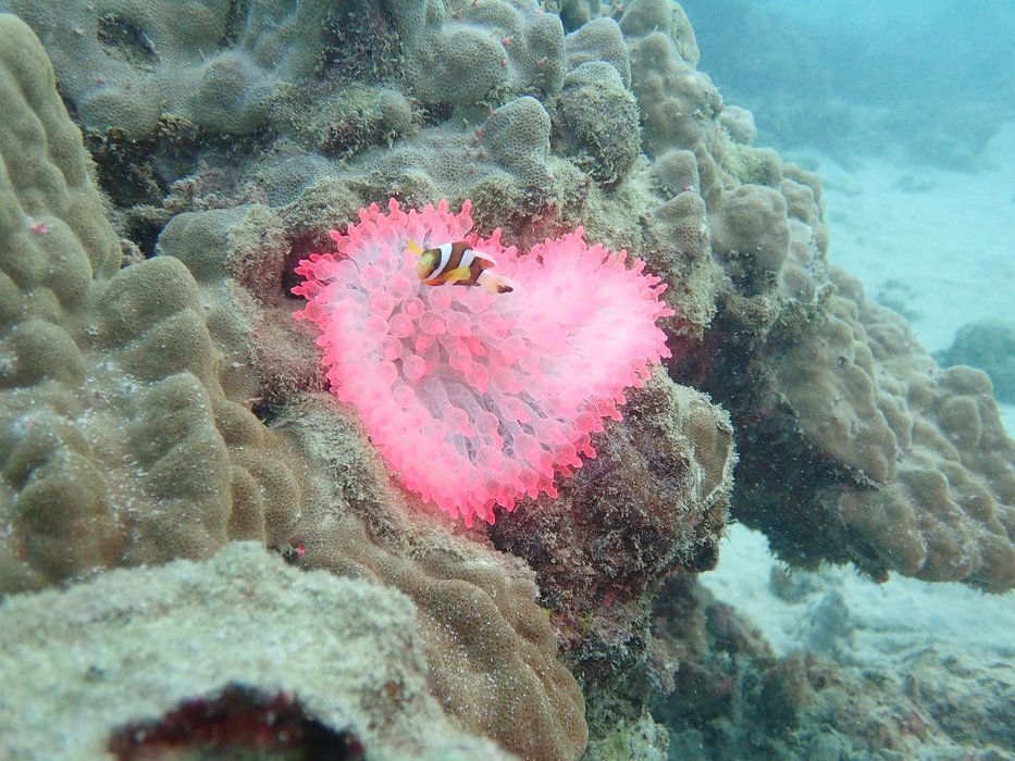 Thumbnail of www-x-com-galea-mainmaku-status-1989630030620844426