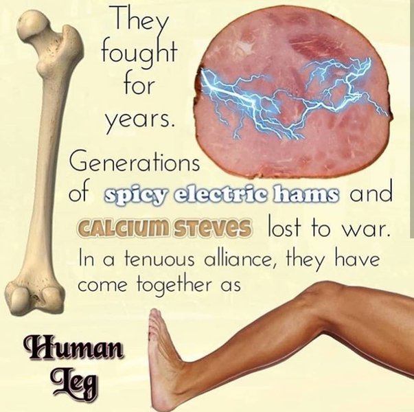 Thumbnail of p-bx09qevnowq-136f0a2199fe4fda 0