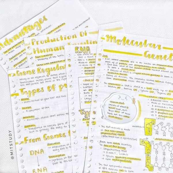 Thumbnail of p-b03dbyvhsfg-139660ea3d9c49a5 0