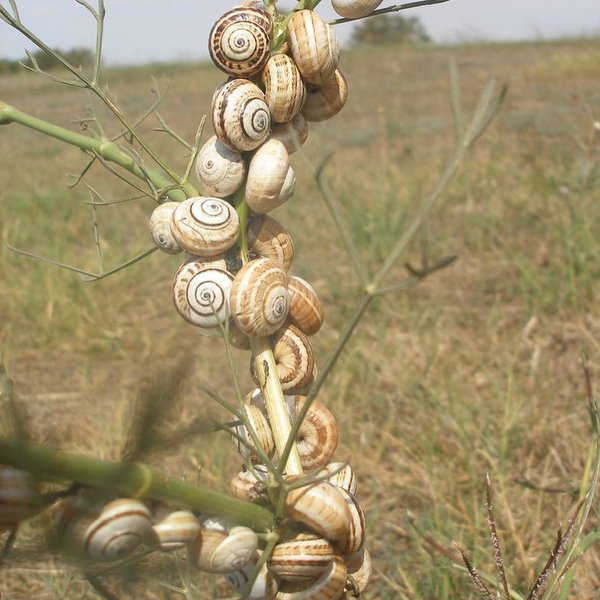 Thumbnail of p-ci0irx6o0mv-13a7fd2dfcf04e43 6