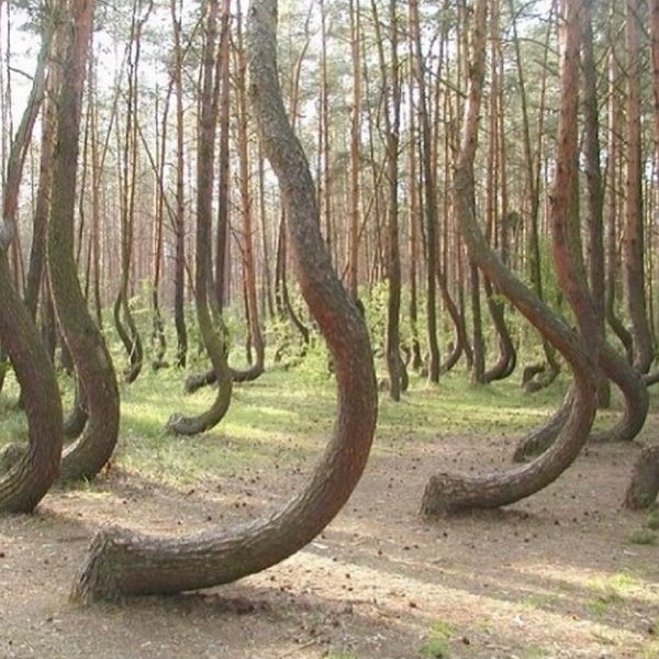 Thumbnail of p-ci0irx6o0mv-13a7fd2dfcf04e43 7