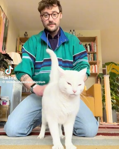 Thumbnail of p-dfoooowzal1-1418e4aa3cf44d0a 1