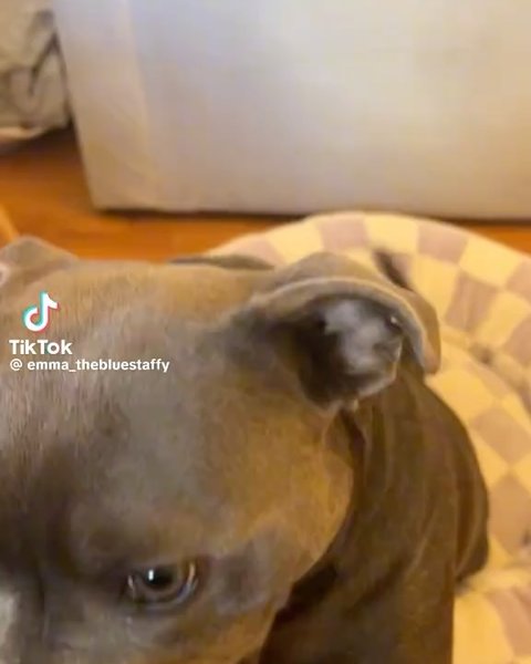 Thumbnail of p-dfoooowzal1-1418e4aa3cf44d0a 8