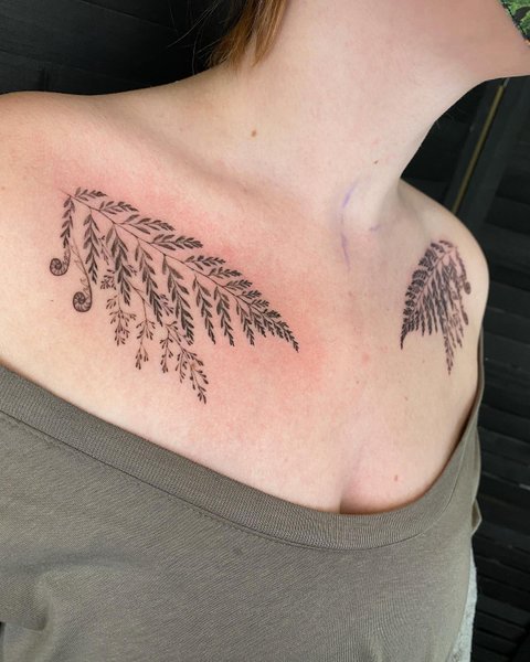 Thumbnail of p-cbv8xzbrblx-1437dc550def4b01 0