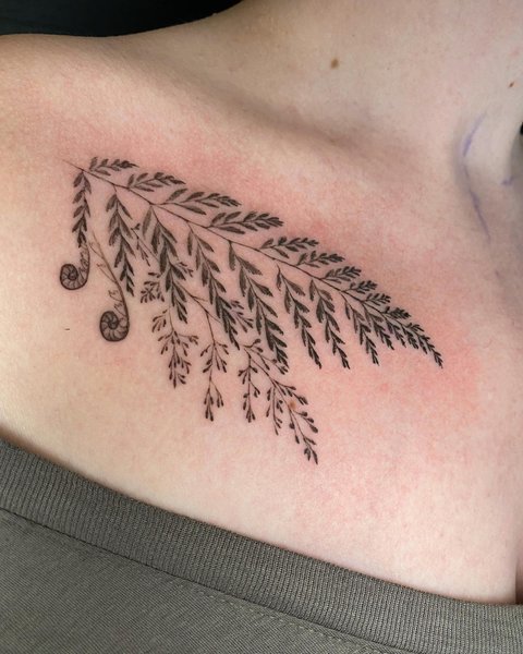 Thumbnail of p-cbv8xzbrblx-1437dc550def4b01 1