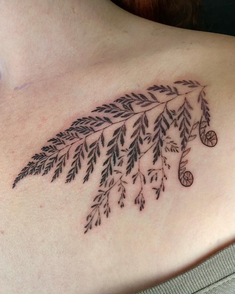 Thumbnail of p-cbv8xzbrblx-1437dc550def4b01 2