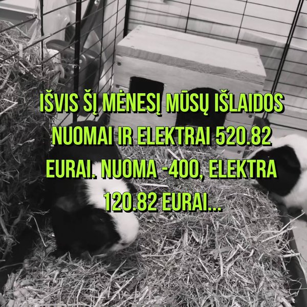 Thumbnail of p-cyyleebtjdm-14419d4157834e4b 1