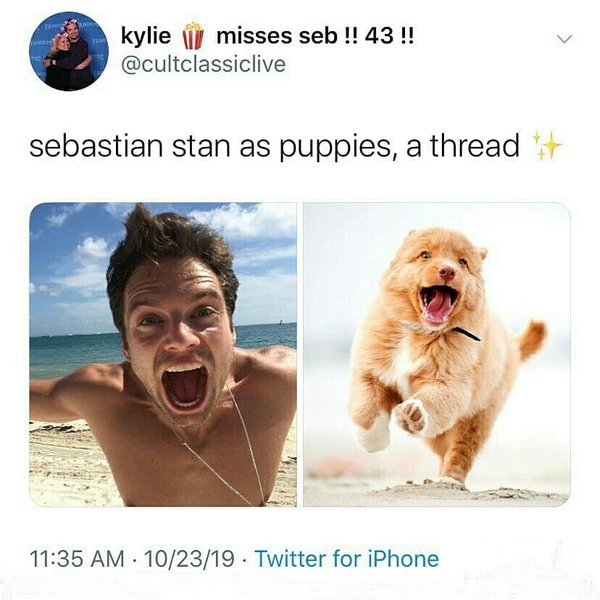 Thumbnail of p-b4ioqqvli1j-1454607eb8e84dfe 0