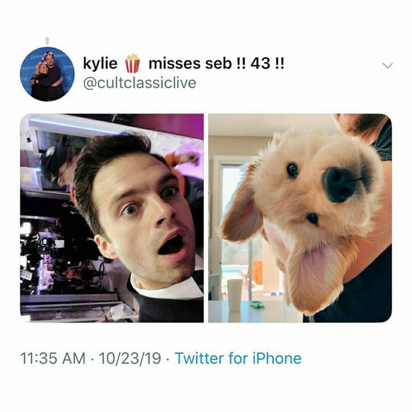 Thumbnail of p-b4ioqqvli1j-1454607eb8e84dfe 1