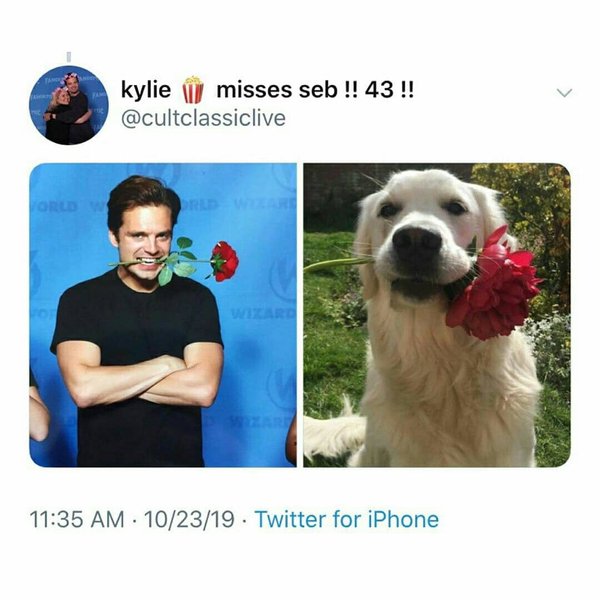 Thumbnail of p-b4ioqqvli1j-1454607eb8e84dfe 2