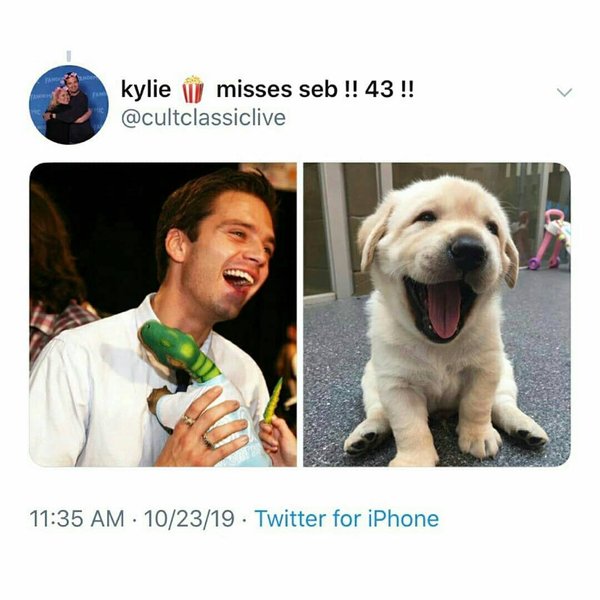 Thumbnail of p-b4ioqqvli1j-1454607eb8e84dfe 3