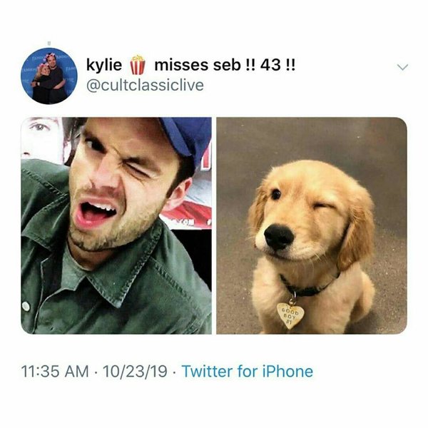 Thumbnail of p-b4ioqqvli1j-1454607eb8e84dfe 4