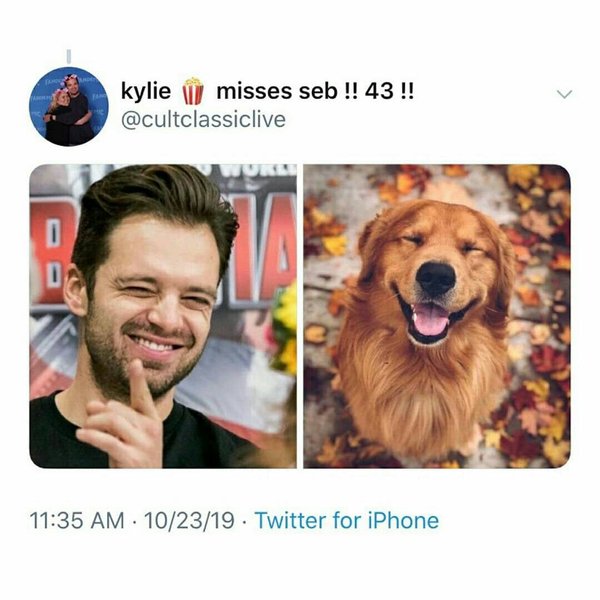 Thumbnail of p-b4ioqqvli1j-1454607eb8e84dfe 6