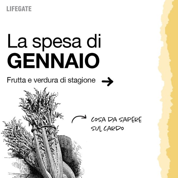 Thumbnail of p-deugsonqwoz-146c90a3c6d343f4 0