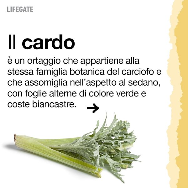 Thumbnail of p-deugsonqwoz-146c90a3c6d343f4 4