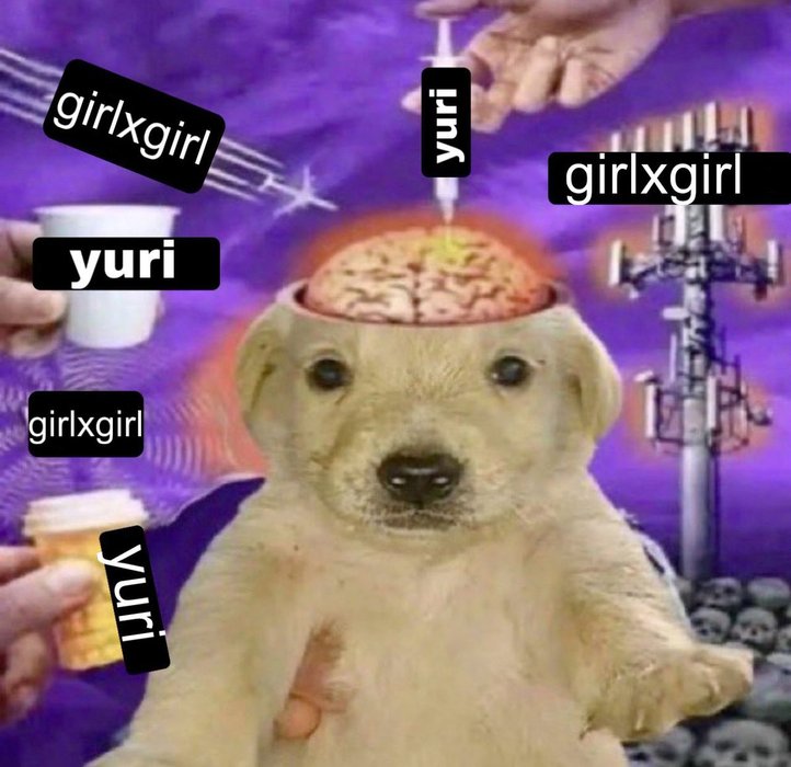 Thumbnail of www-x-com-gael-zin16-status-1816939671483564337-1470d443503641ac