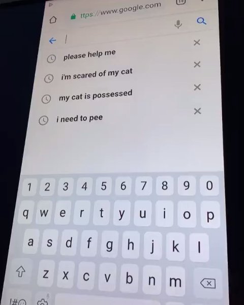 Thumbnail of p-bzokerbj4ew-147852a83e90448f 0