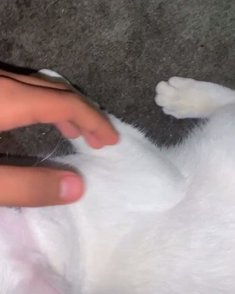 Thumbnail of p-bzokerbj4ew-147852a83e90448f 2