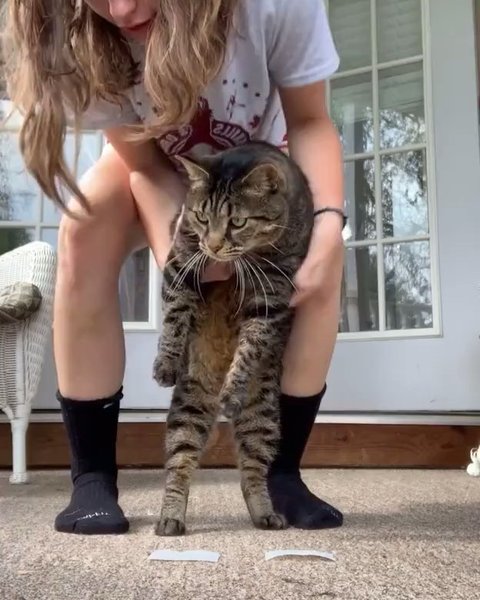 Thumbnail of p-bzokerbj4ew-147852a83e90448f 3