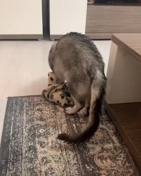 Thumbnail of p-bzokerbj4ew-147852a83e90448f 5