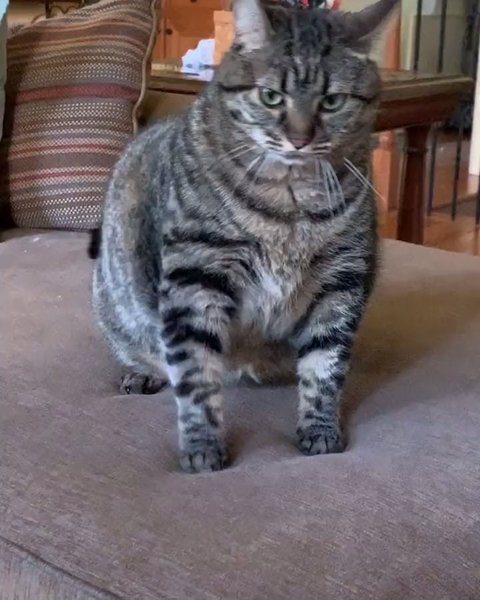 Thumbnail of p-bzokerbj4ew-147852a83e90448f 7