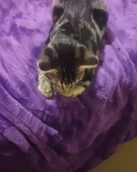 Thumbnail of p-bzokerbj4ew-147852a83e90448f 8