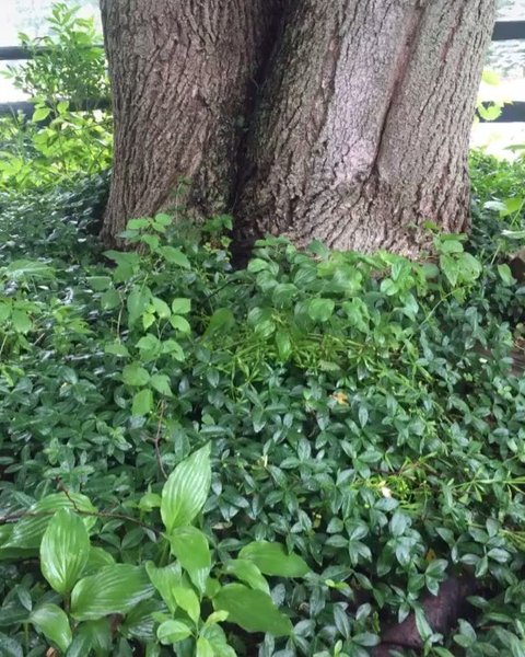 Thumbnail of p-bzokerbj4ew-147852a83e90448f 9