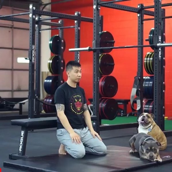 Thumbnail of p-cepn2csiov-1485994b01d24c99 1