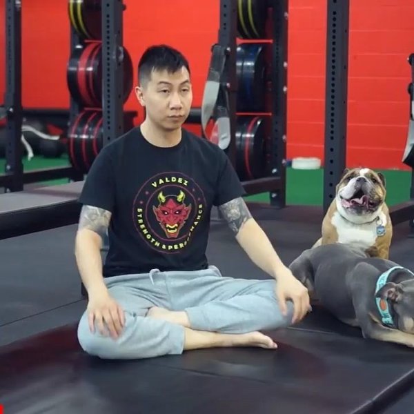 Thumbnail of p-cepn2csiov-1485994b01d24c99 2