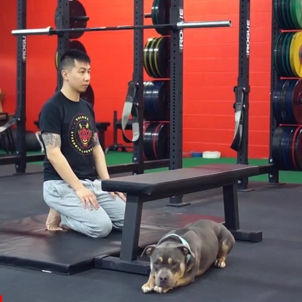 Thumbnail of p-cepn2csiov-1485994b01d24c99 3